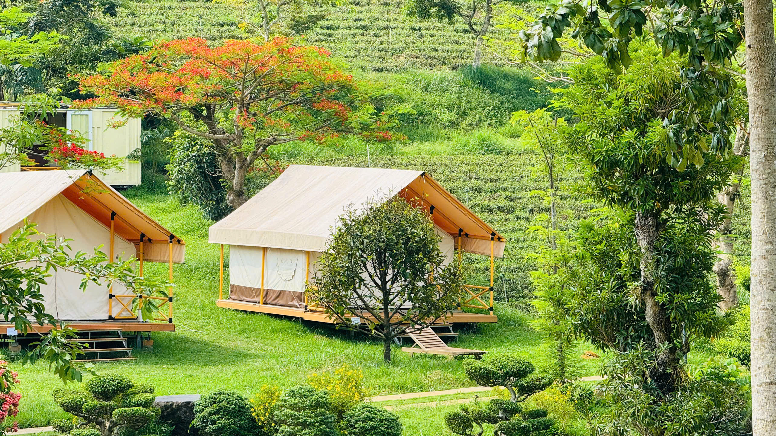 Lều xinh tại Tâm Châu Farm
